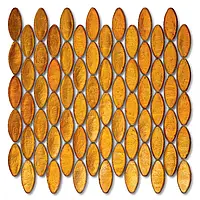 503 Domes Sicis NeoColibrì