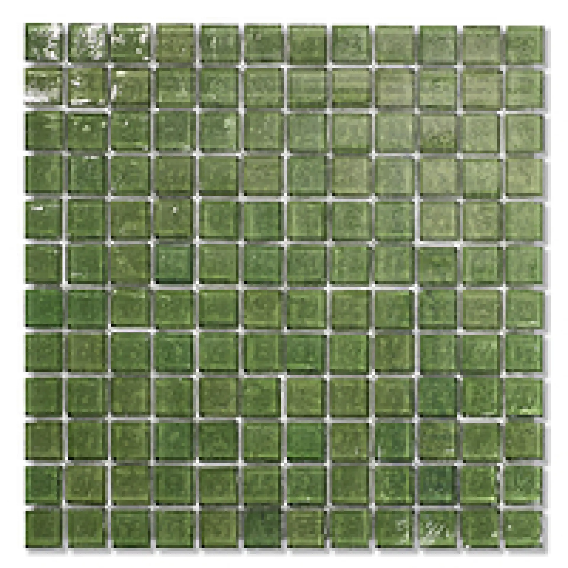 744 Cubes Sicis Neoglass
