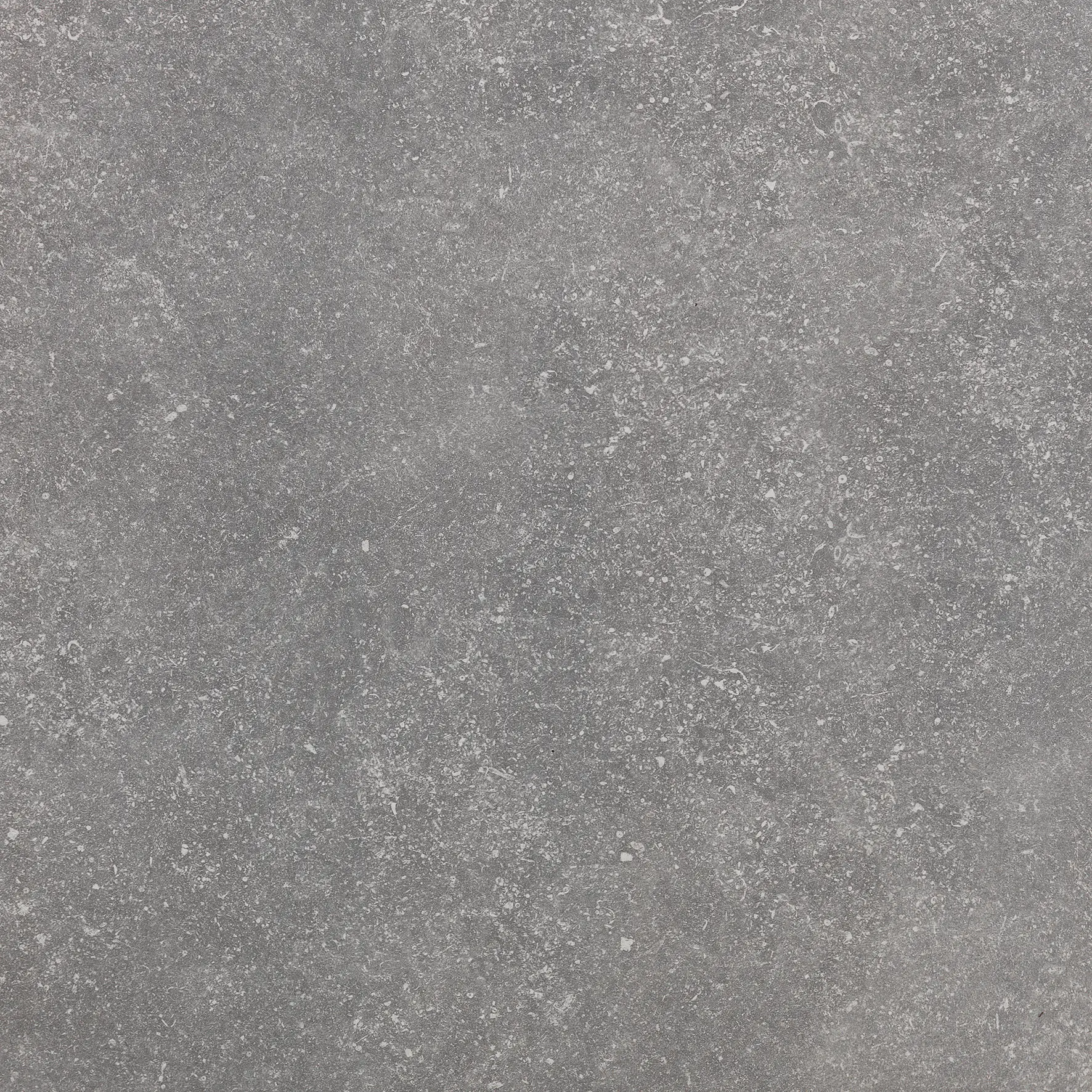 PF00016313_PF00020547 GEO BLEUE 604 GRIGIO Sintesi Geo Bleue