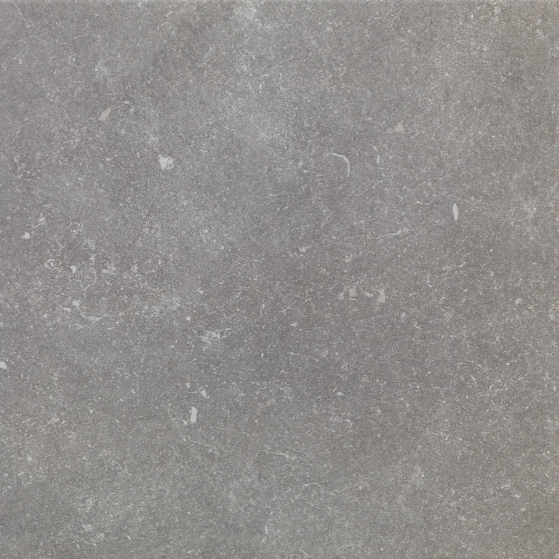 PF00016329_PF00020553 GEO BLEUE 450 GRIGIO Sintesi Geo Bleue