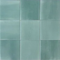 ELE11SA_Salvia Tonalite Elevenuance