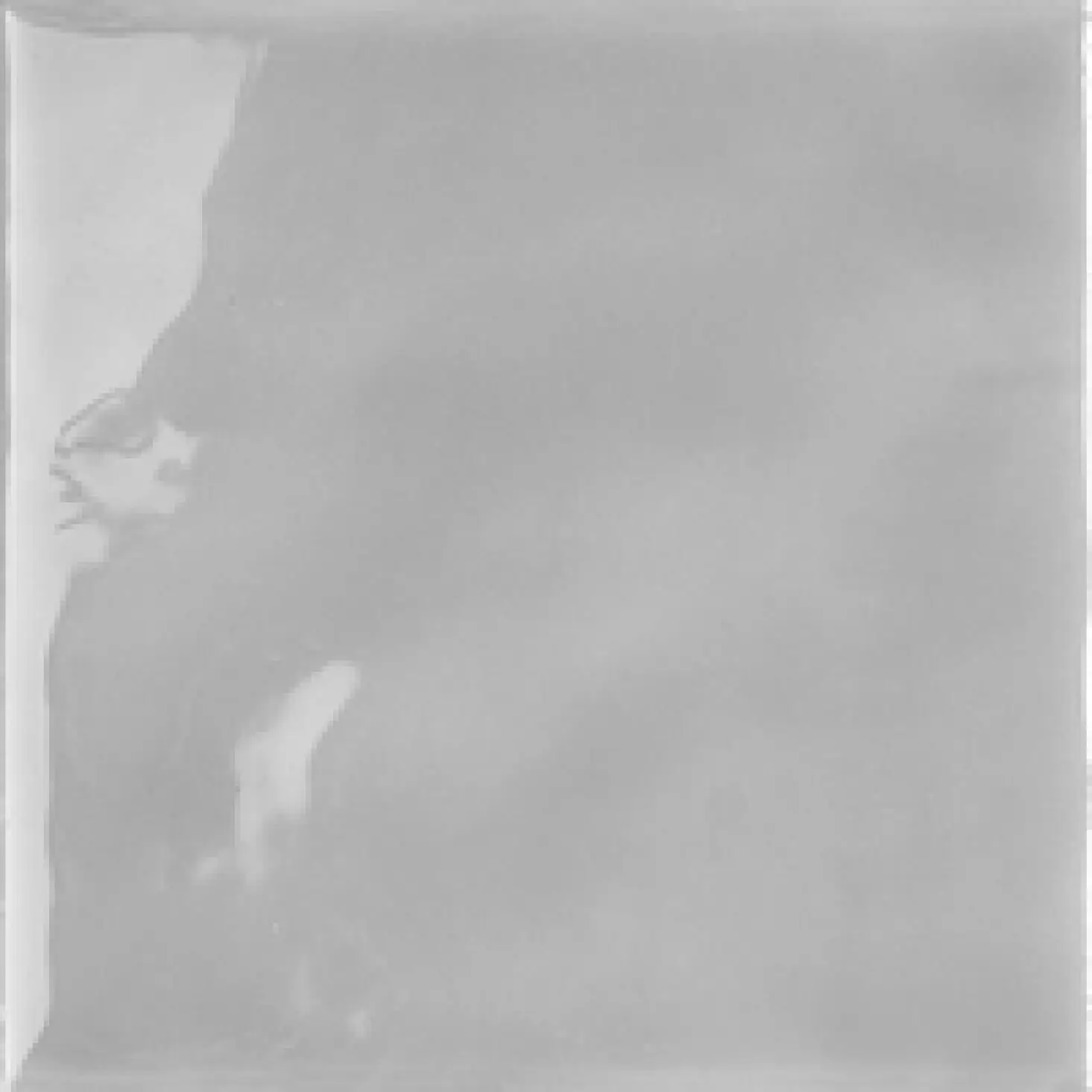 FLU12AC_FluidAchillea Tonalite Fluid
