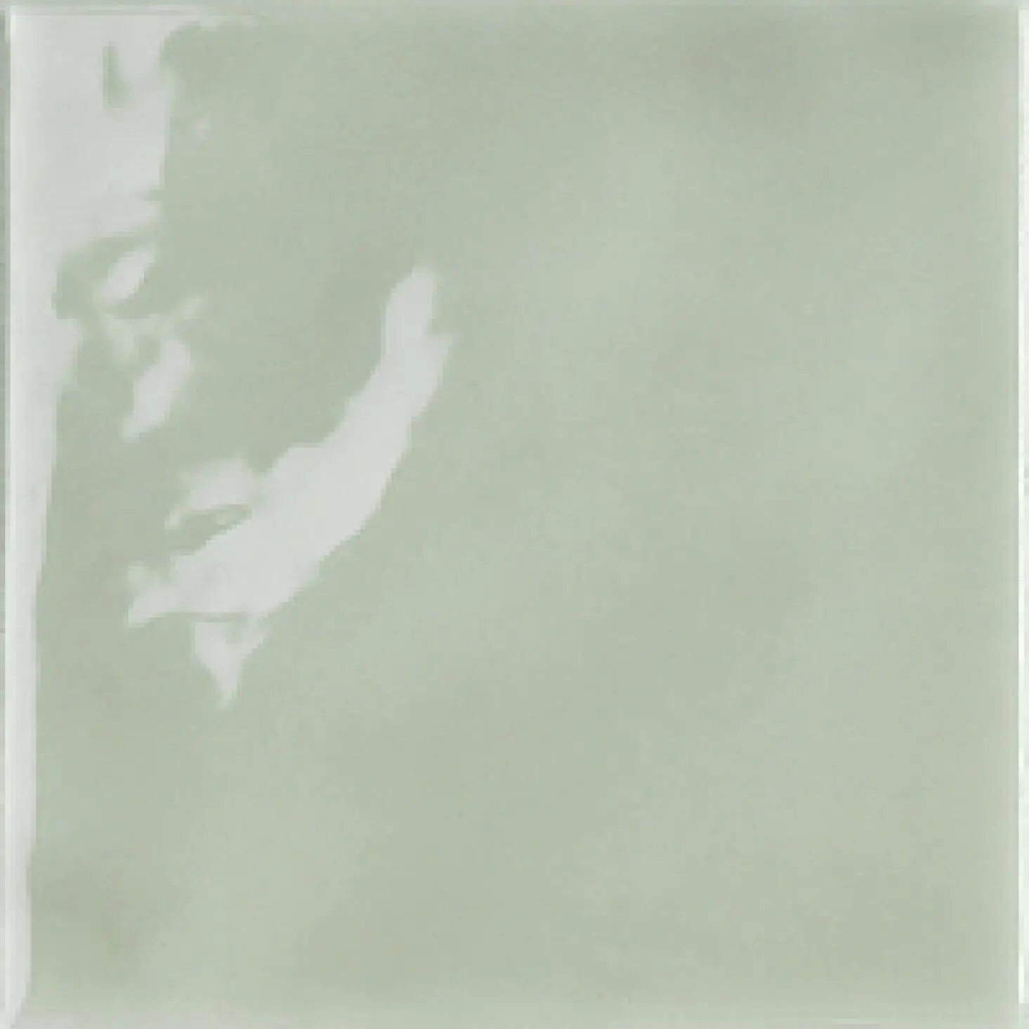 FLU12GI_FluidGiunco Tonalite Fluid
