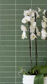 Background tile, Effect unicolor, Color green, Glazed porcelain stoneware, 5x15 cm, Finish matte