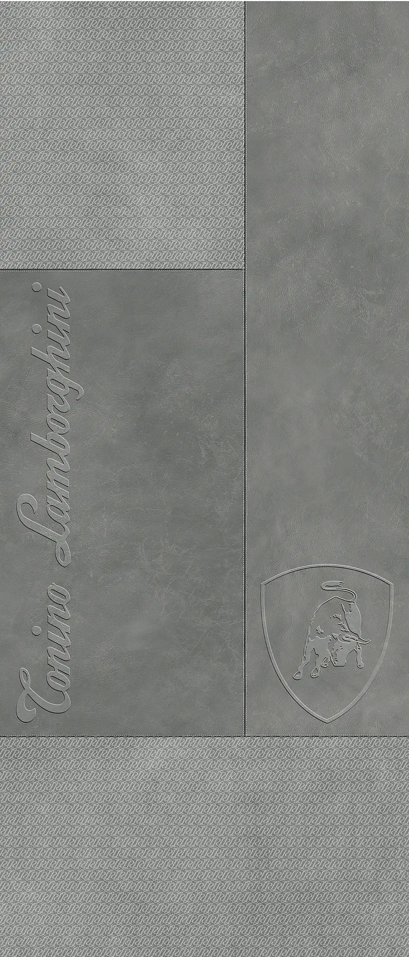 167420_ GREY SQUARE LOGO Tonino Lamborghini Korium