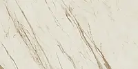 2400610_MARBLE BIANCO CAL LAP Versace Marble