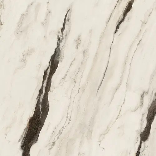 Versace Ceramics, Maximvs, G67621_MAXIMVS PANDA WHIT LUX R