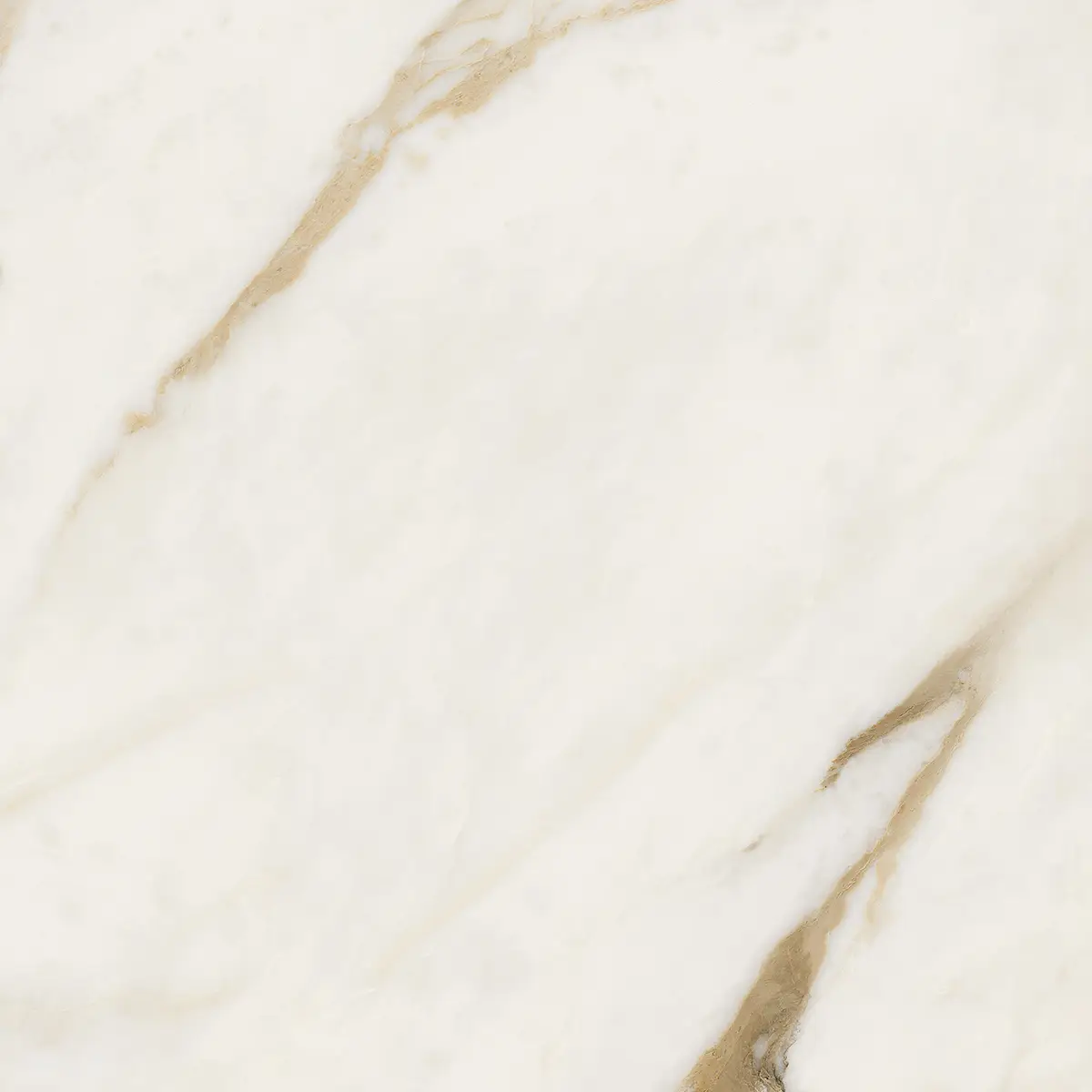 G67622_MAXIMVS CAL.BRIGHT LUX R Versace Maximvs