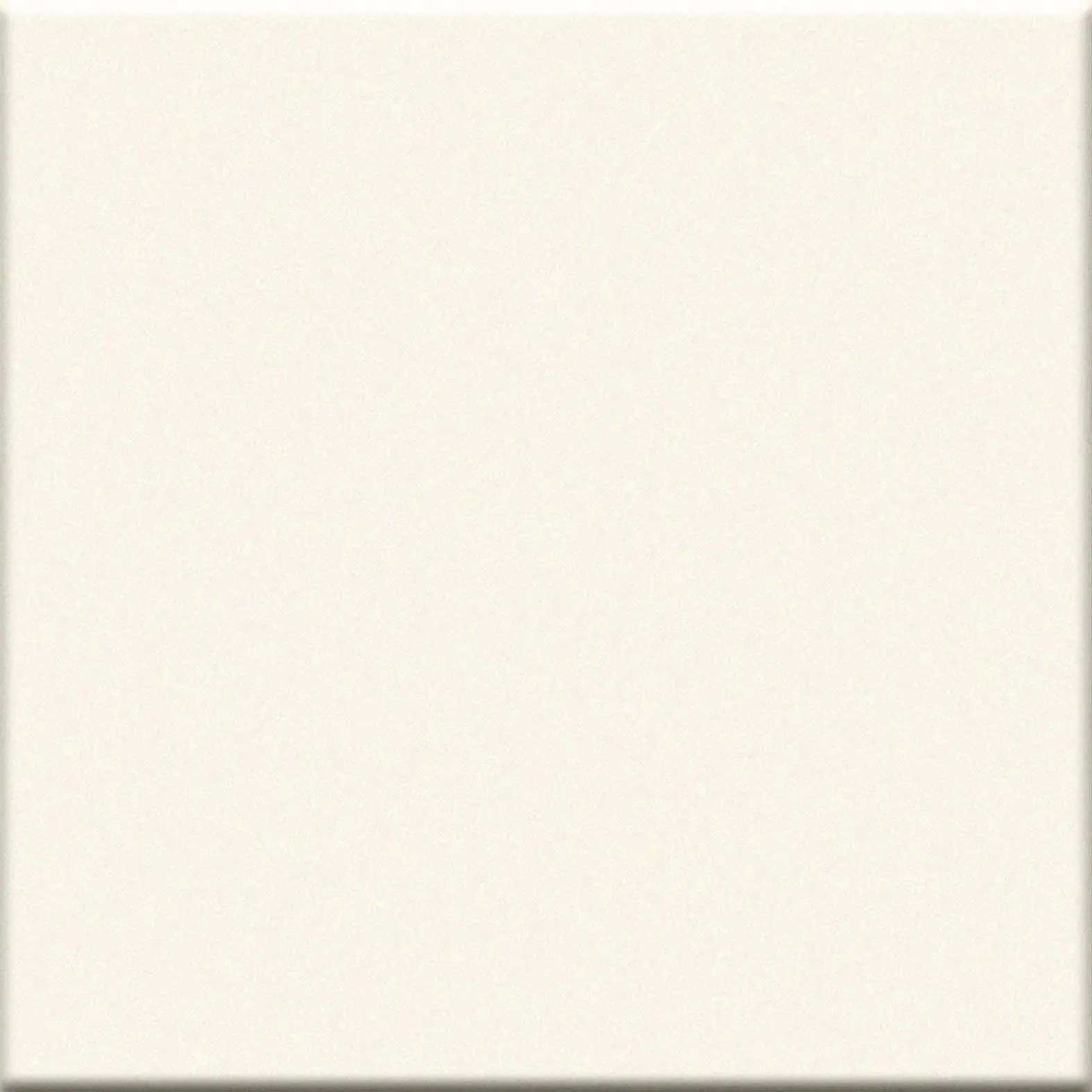 IN_Latte Vogue Interni