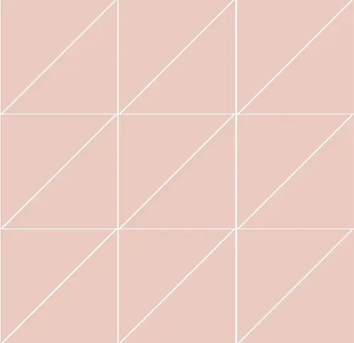 Ceramica Vogue, Trasparenze, TR_Rosa_10*10*14_su rete